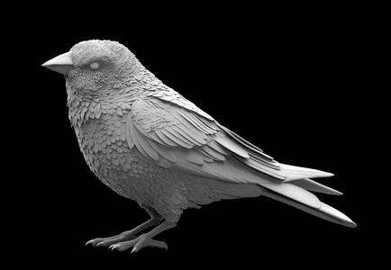 bird 01