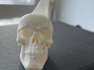 skull with broken axe
