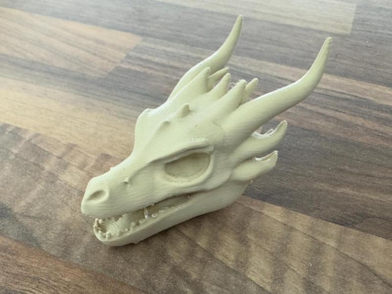 Dragon skull