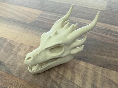 Dragon skull