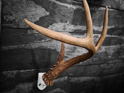 Deer Antler Wall Mount Bracket - Snap Feature
