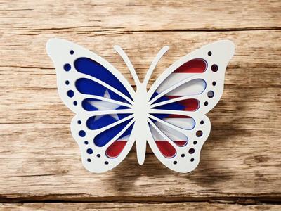 Butterfly Wall Art Plaque - Puerto Rico Flag