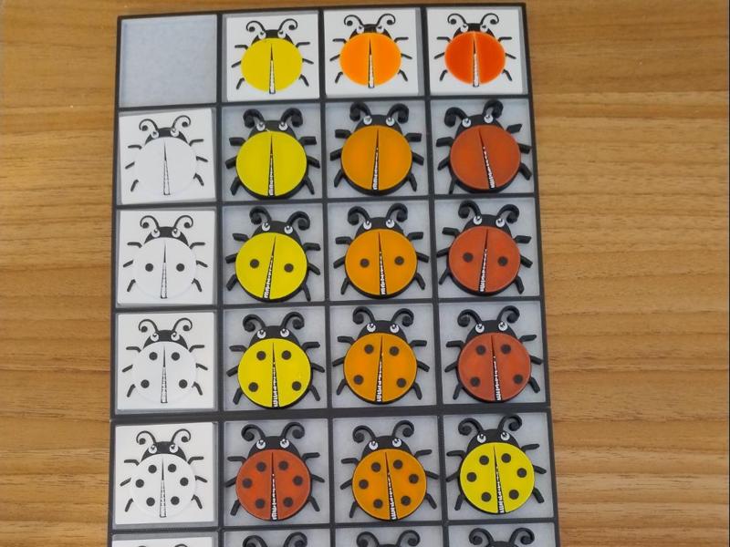 Ladybug Counting Matrix