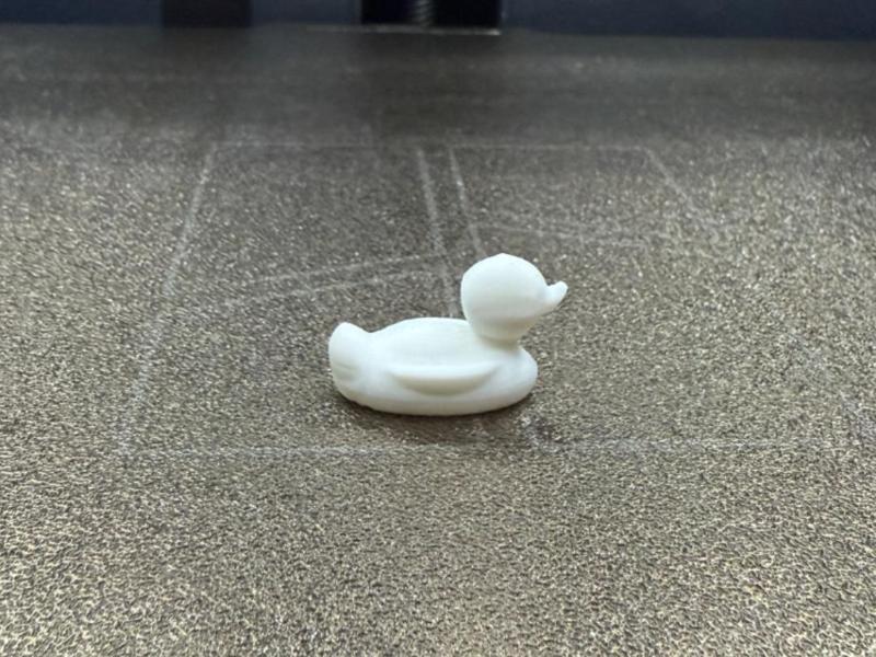DUCK 10 MIN TEST PRINT 