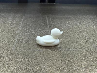 DUCK 10 MIN TEST PRINT 