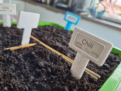 Plant Label with Slot for Label Printer Stickers