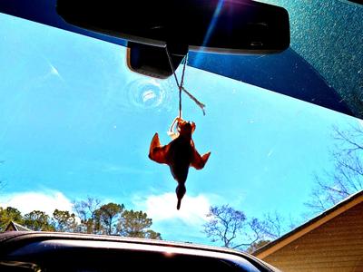 "Not So Rubber Duck" Hang