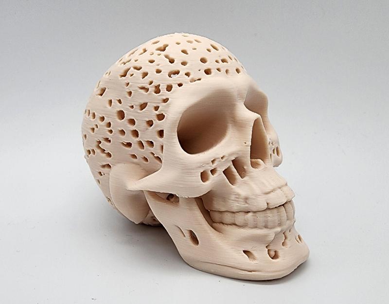 Swiss Cheese Skull