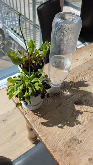 Automatic irrigation