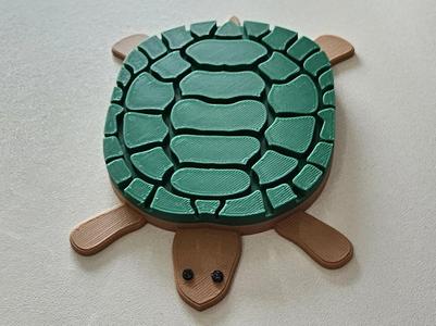 Turtle Coasters with AMS or Modular