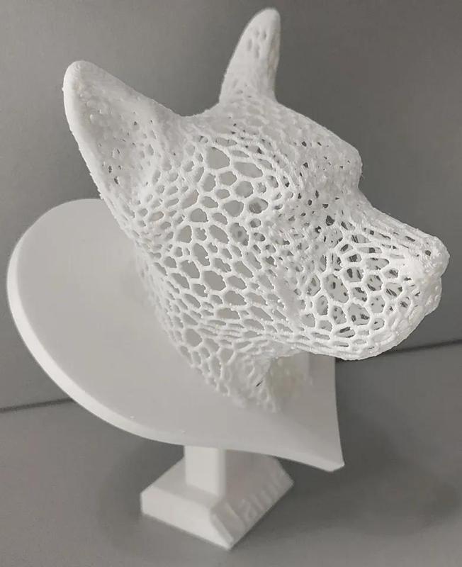 Dog head   
