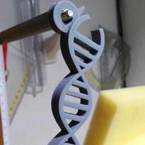 DNA keychain