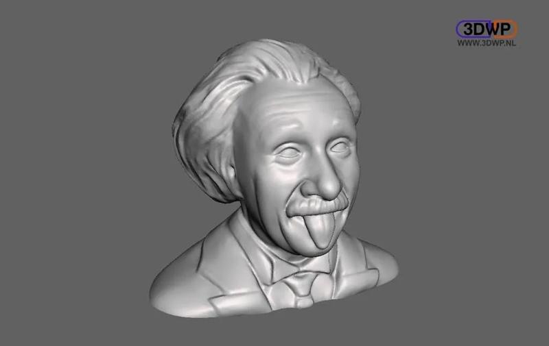 Albert Einstein Bust   