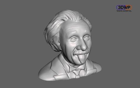 Albert Einstein Bust   