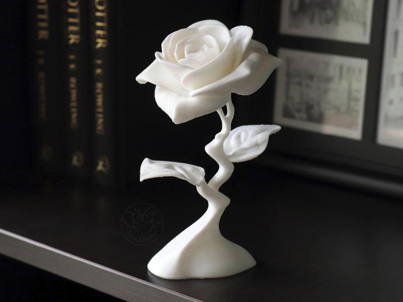 Modern Rose