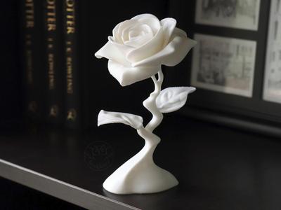 Modern Rose
