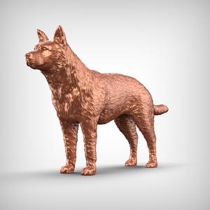 Australian Cattle Dog 3D Print Model Pose 01