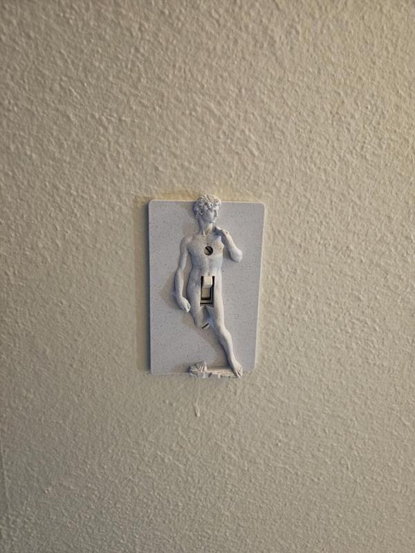 Renaissance single switch cover 