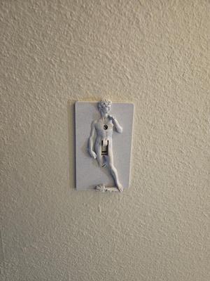Renaissance single switch cover 