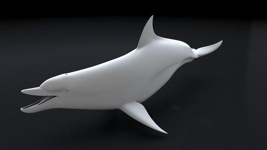 Bottlenose Dolphin 3D Printable Model