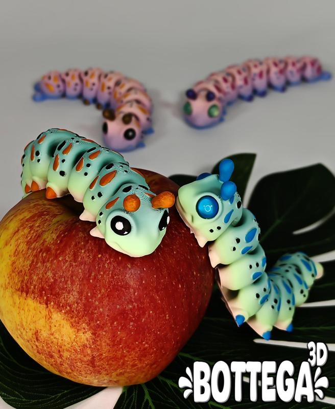Spirit and Plain Caterpillar 