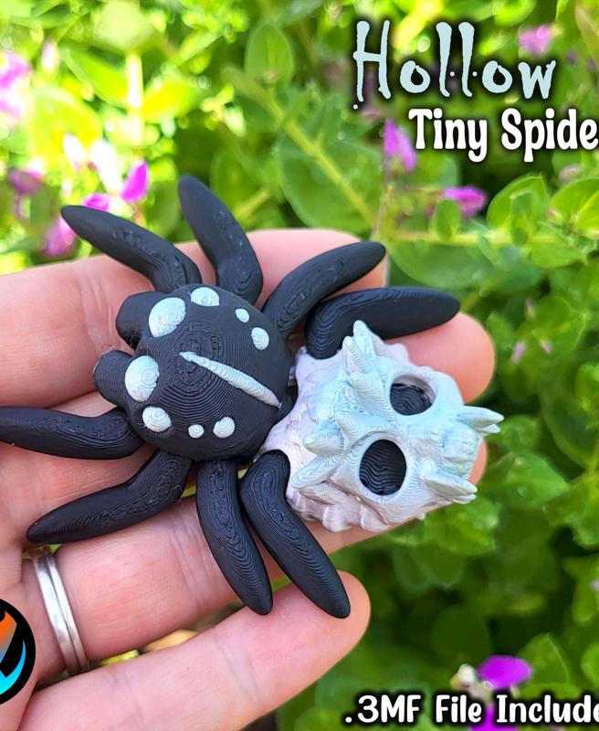 Tiny Hollow Spider