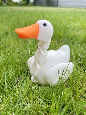 Flexi Duck Print In Place / Multiparts / Color Print 3MF / Heart Gift Box