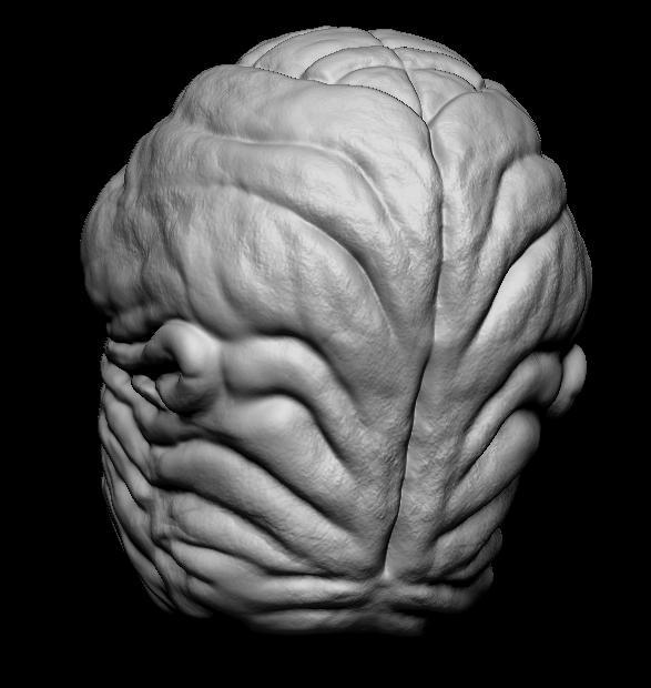 Roonan - Star Wars Jedi Action Figure Head Sculpt - 3D File STL