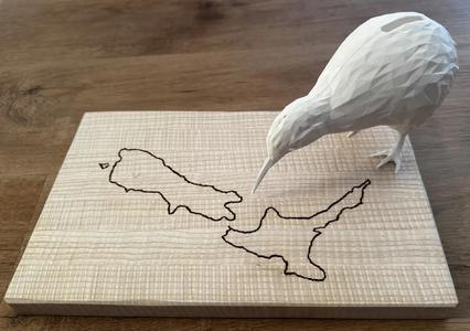 kiwi bird - moneybox   