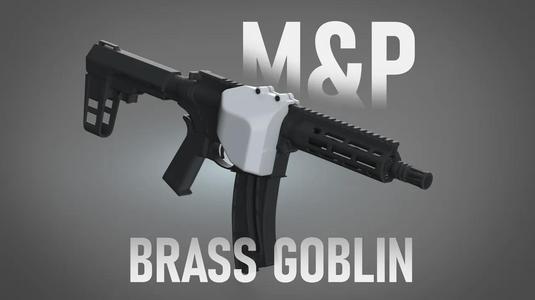 S&W M&P 15-22 Brass Catcher   