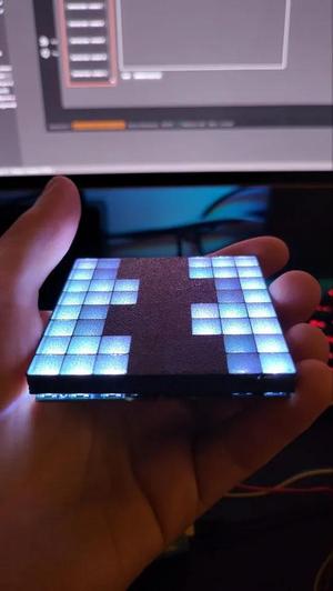 LED diffuser Matrix 8х8 WS2812 Sim racing car spotter and flags   