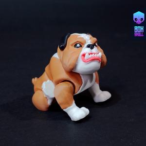 BULLDOG - PET - FLEXI - ARTICULATED - PRINT IN PLACE