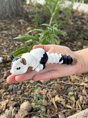 Flexi Chinchilla by Teal Cat Creative