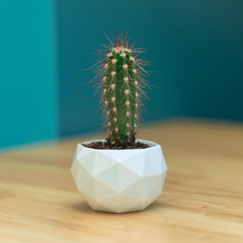 Flower Pot - Low Poly