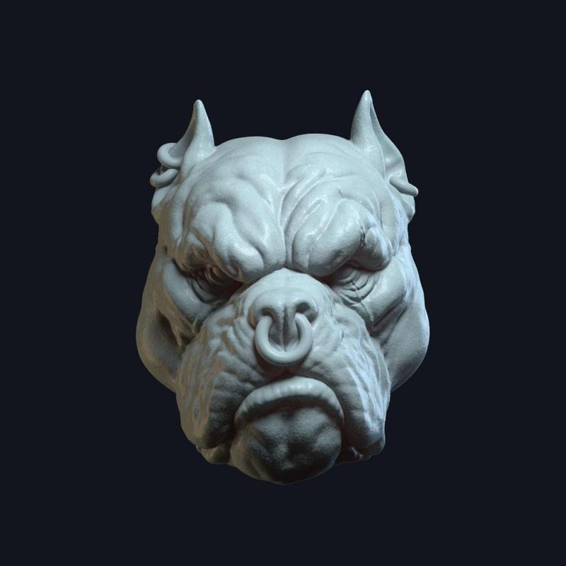 Tarek DreadBone v6 Action Figure Head