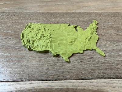 Low Poly USA Lower 48 States