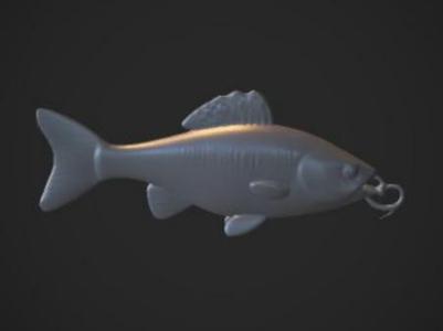esca da pesca - fishing bait lure