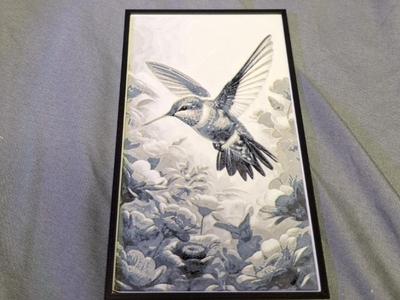 B/W Hummingbird
