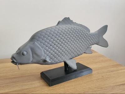 Carp Fish statuette figurine detailed