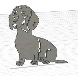 dachshund   