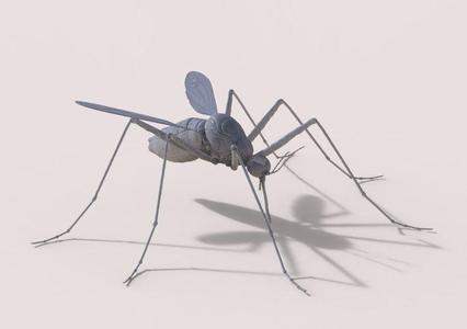 Mosquito 3D Model