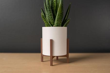 Classic Planter with Drip Tray and Stand