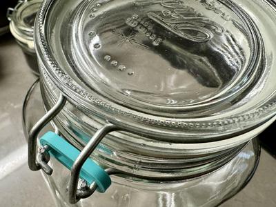 Fido Jar Latch Clip