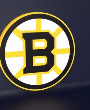 Boston Bruins - LED Strip compatible