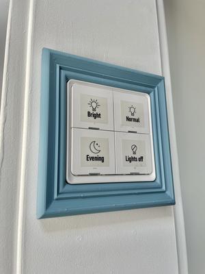 MOES zigbee controller decorative frames set 1