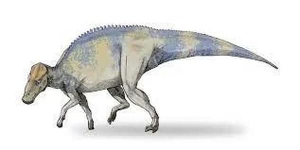 brachylophosaurus