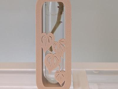Propagation Test Tube Stand- Heartleaf 