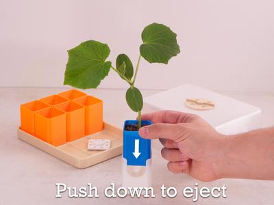 Pop-Up NO-Root Stress Seed starter + Greenhouse 