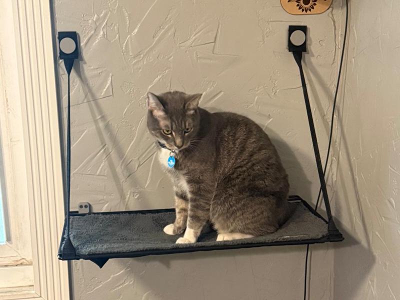 Cat Window Perch Wall Holders
