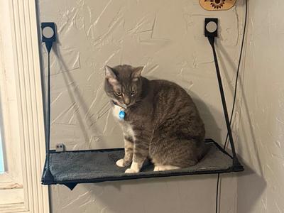Cat Window Perch Wall Holders